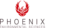 Phoenix logo