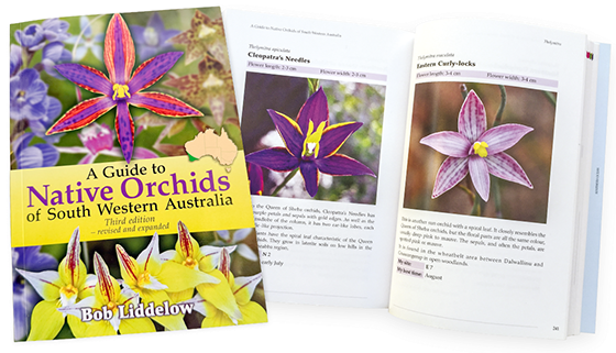 A Guide to Native Orchids of South Western Australia